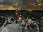Fallen Fruit