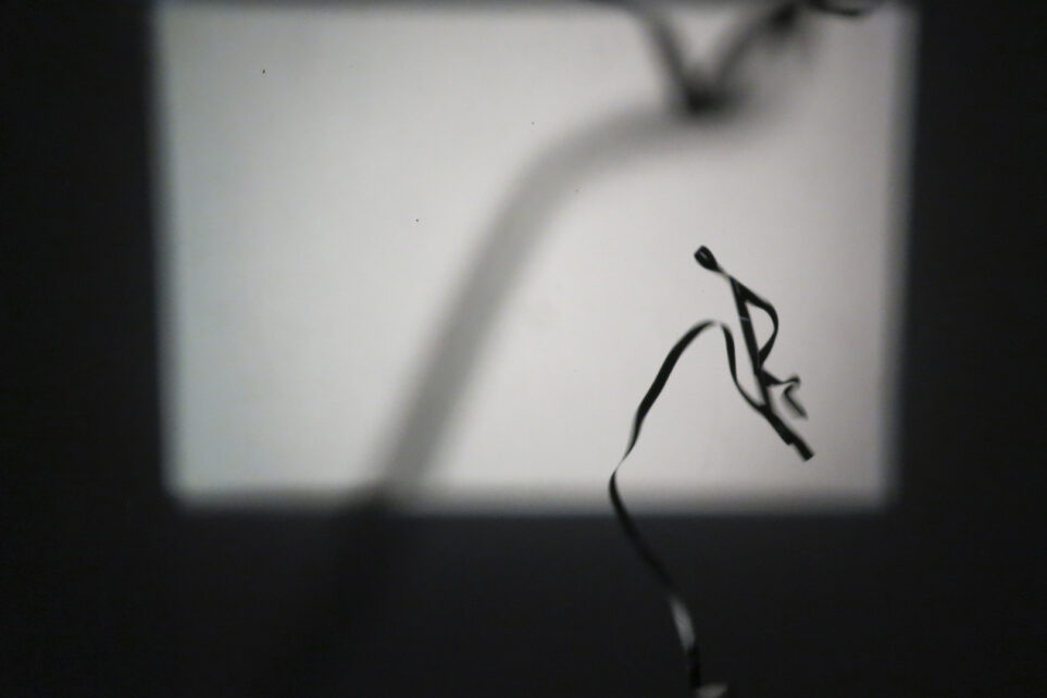 Sine – Juliana Borinski y Pierre Laurent Cassière
