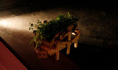 16719291186_9ae39a94ac_z